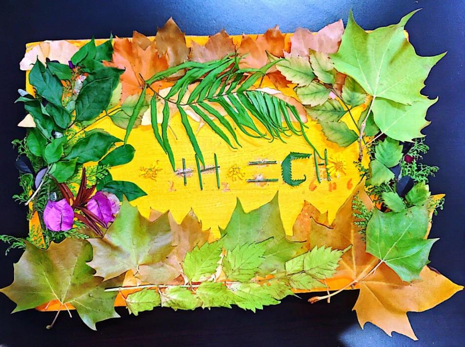 化学文化节2025 2